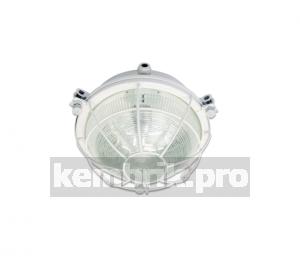 Светильник ДПП-03-13-001 LED прозрачный c лампой холодный Е27 IP65 без сетки